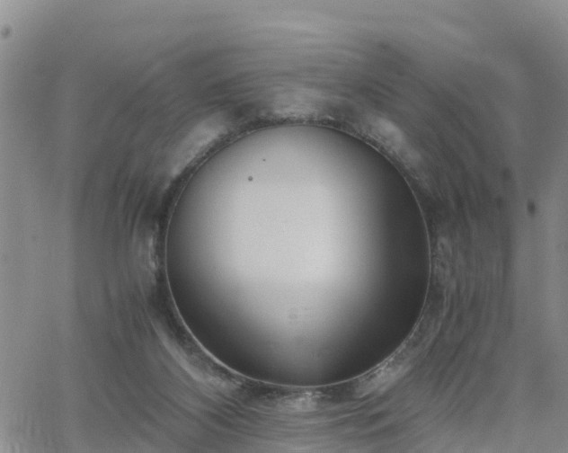 X0000063500116200601231447