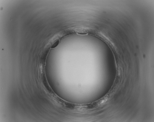 X0000063500117200601231447