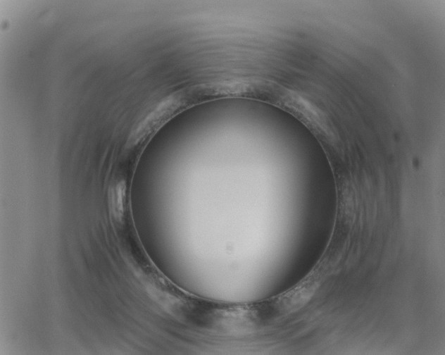 X0000063500118200601231447