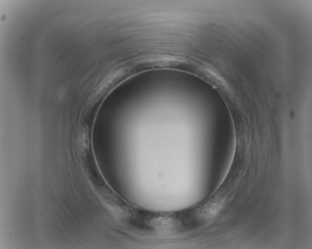 X0000063500119200601231447