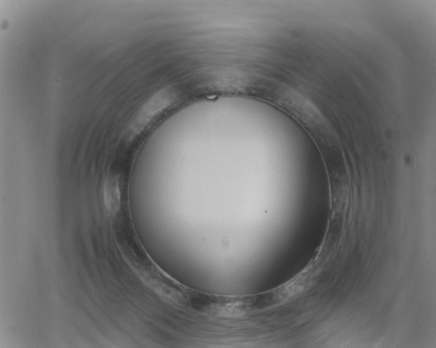 X0000063500120200601231447