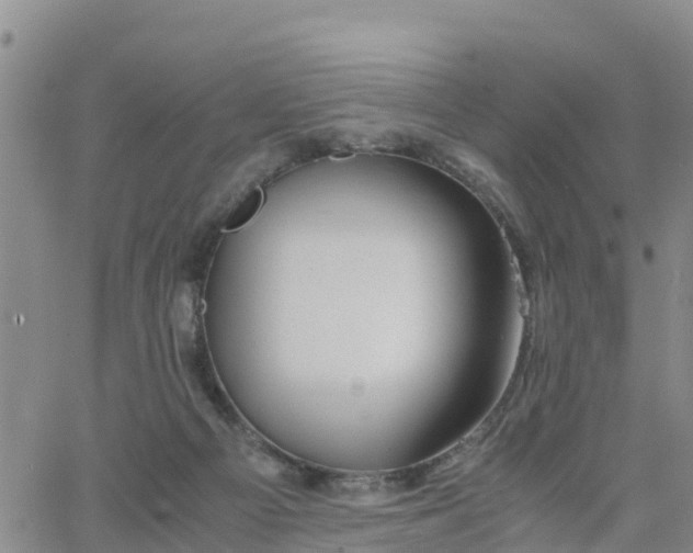 X0000063500121200601231447