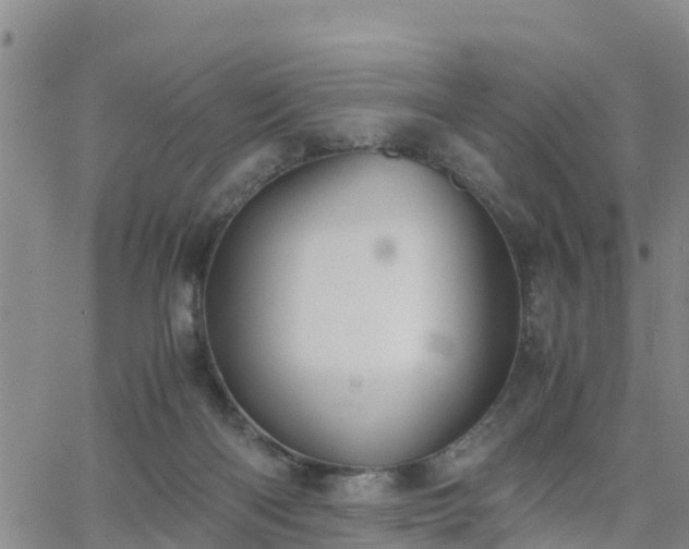 X0000063500122200601231447