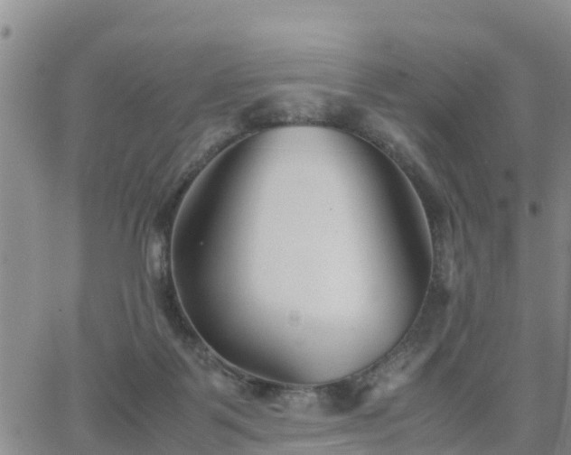 X0000063500123200601231447