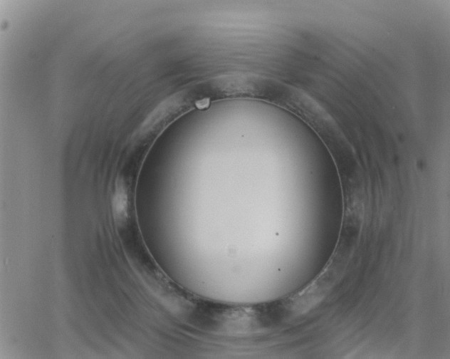 X0000063500124200601231447