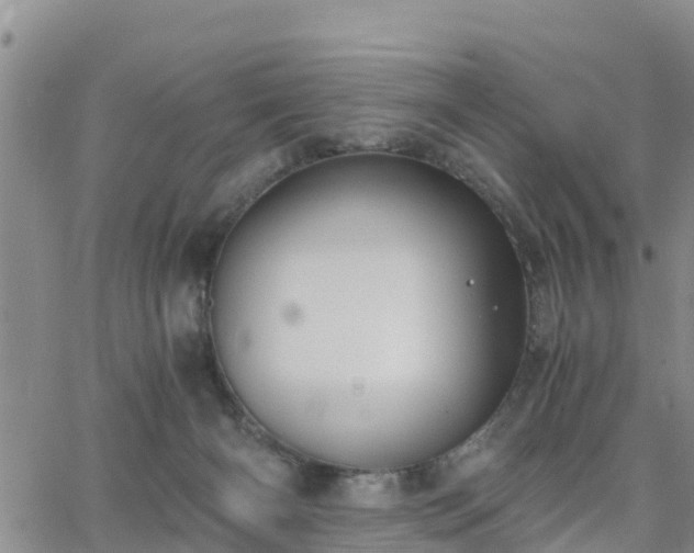 X0000063500126200601231447