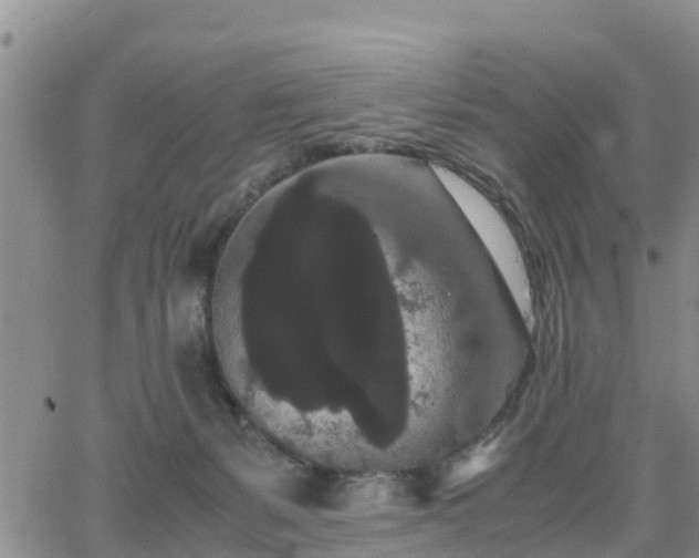 X0000063500127200601231447