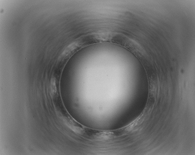 X0000063500128200601231447