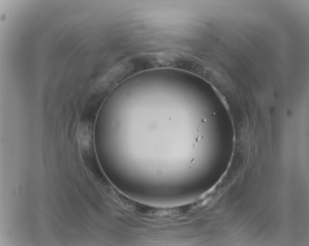 X0000063500129200601231447