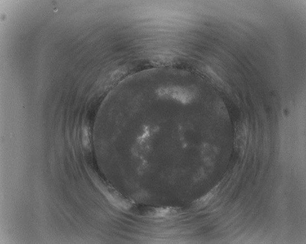 X0000063500130200601231447