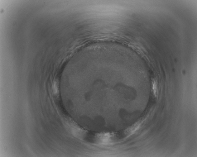 X0000063500131200601231447