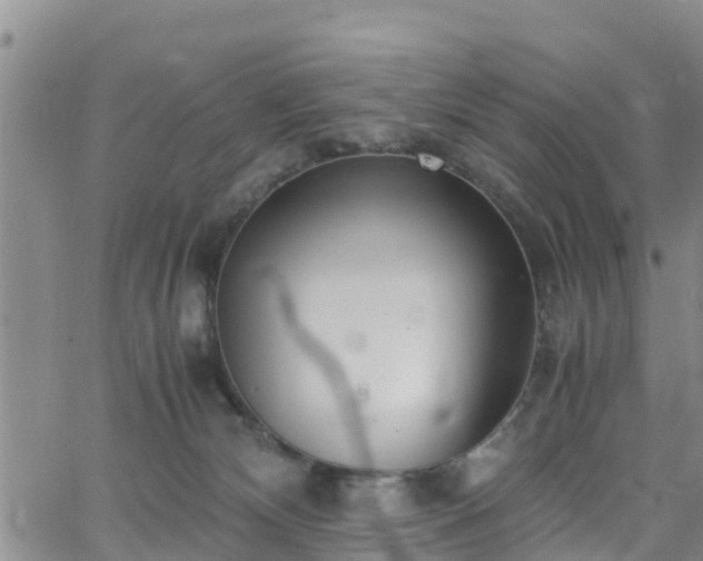 X0000063500132200601231447