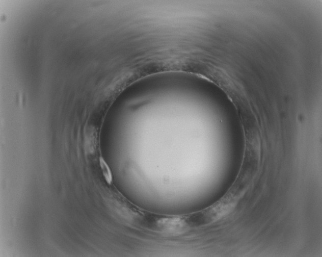 X0000063500133200601231447