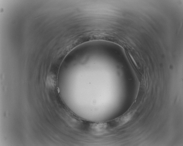 X0000063500135200601231447