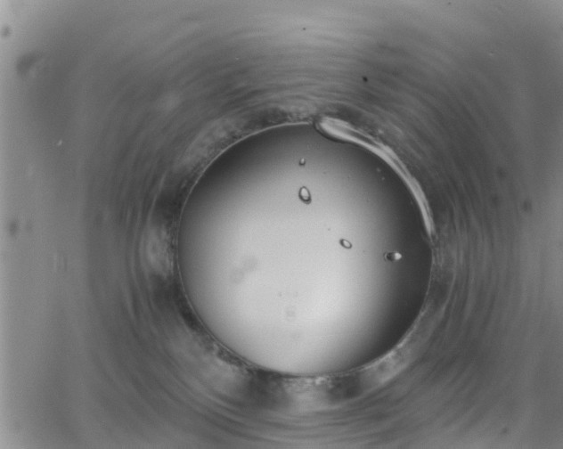 X0000063500136200601231446