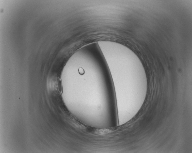 X0000063500137200601231446