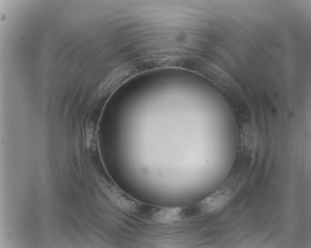 X0000063500138200601231446