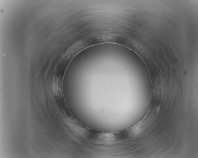 X0000063500140200601231446