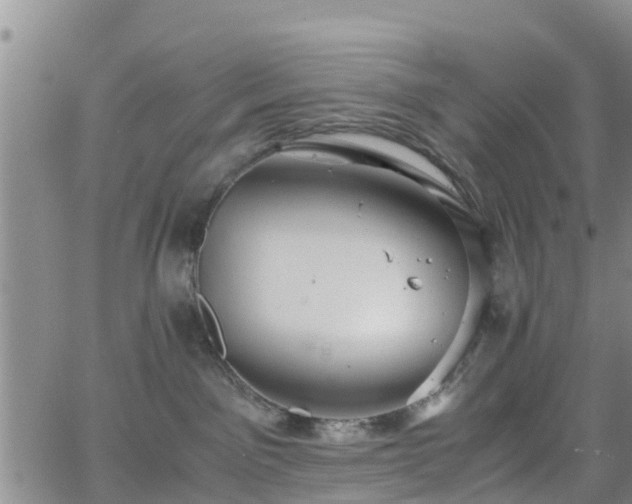 X0000063500141200601231446