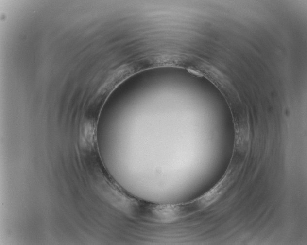 X0000063500142200601231446