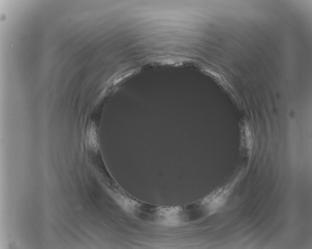 X0000063500143200601231446