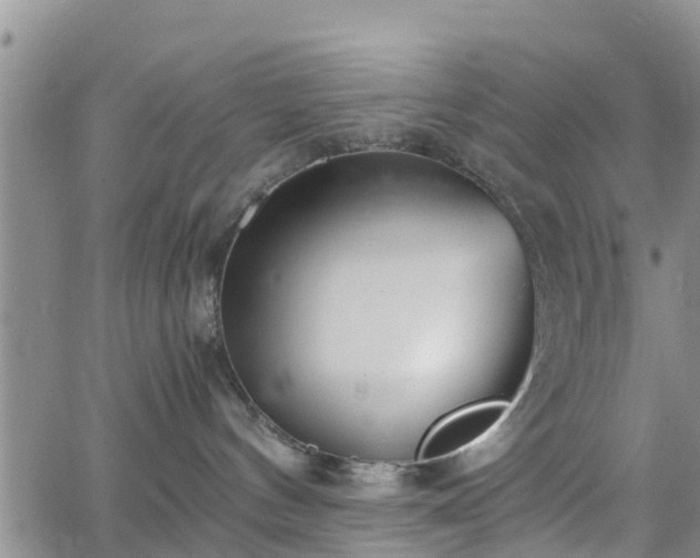 X0000063500144200601231446