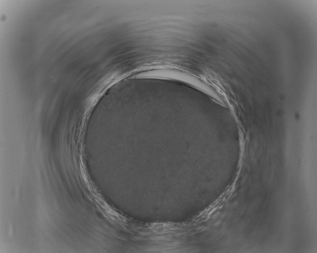 X0000063500145200601231446