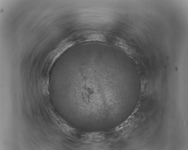 X0000063500146200601231446