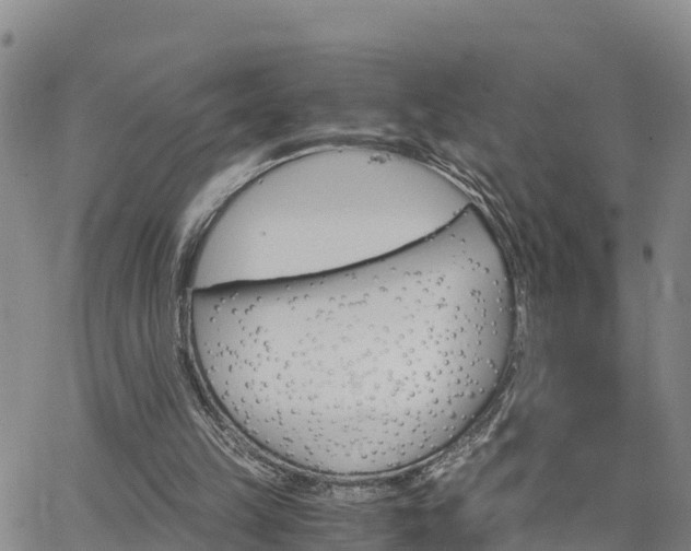 X0000063500149200601231446