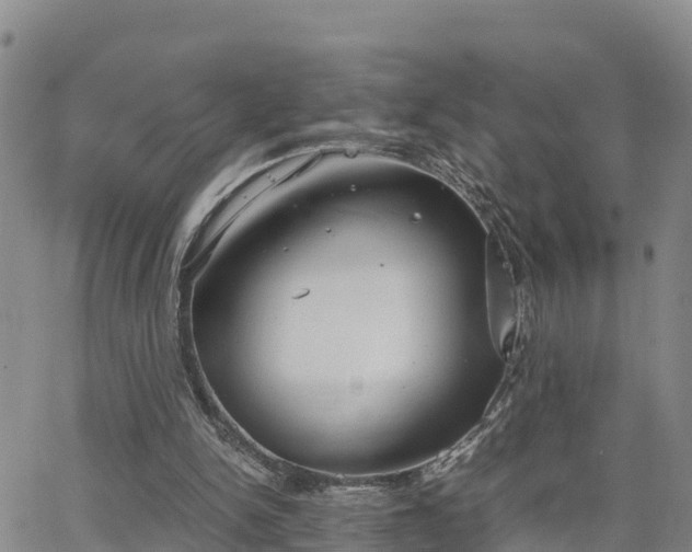 X0000063500150200601231446