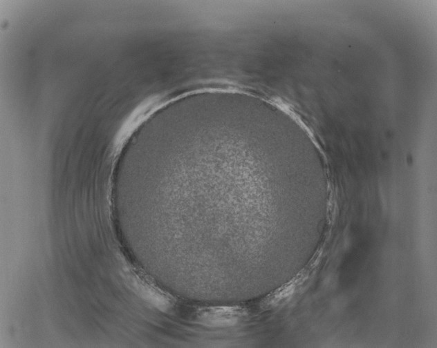 X0000063500151200601231446