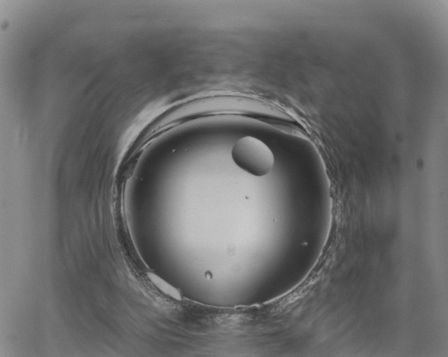 X0000063500152200601231446