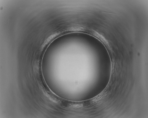 X0000063500155200601231446