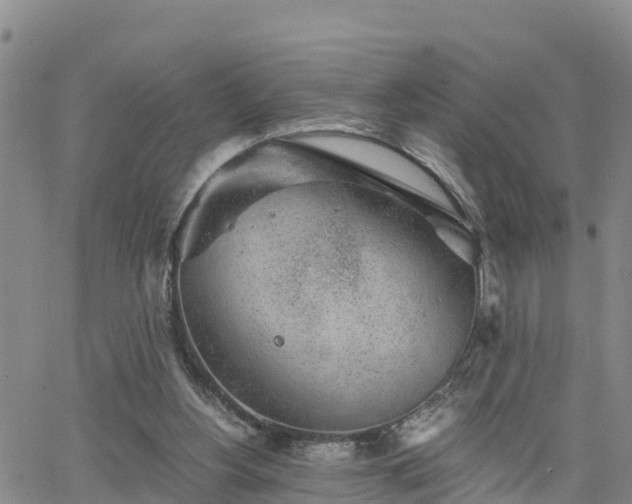 X0000063500156200601231446