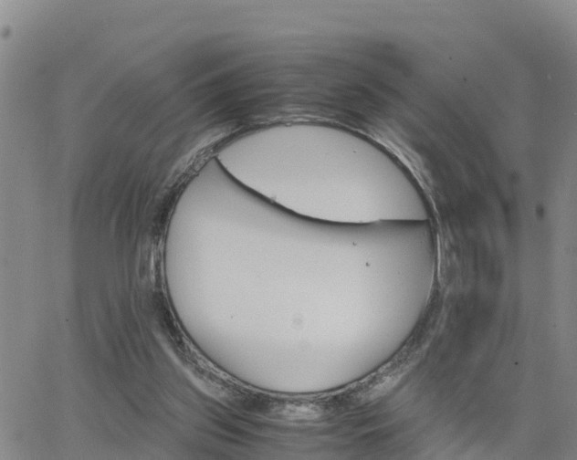 X0000063500157200601231446