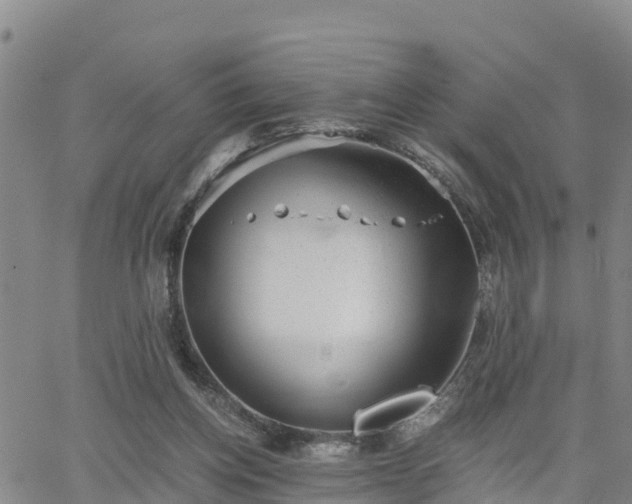 X0000063500158200601231446