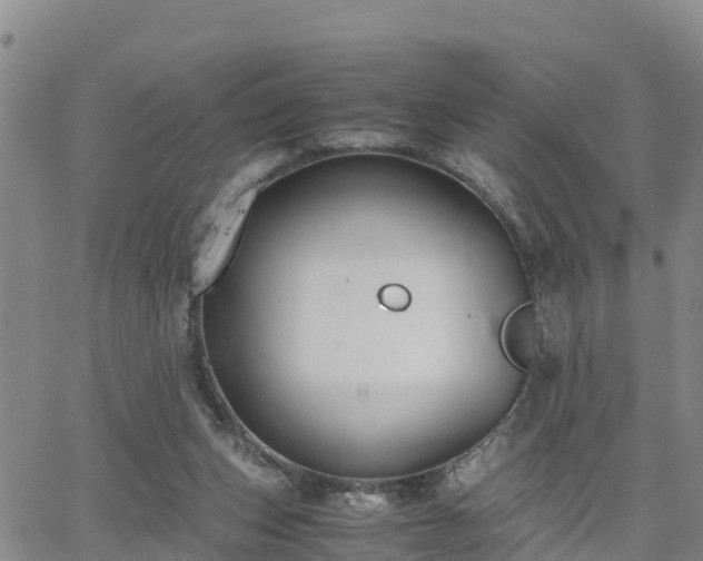 X0000063500159200601231446