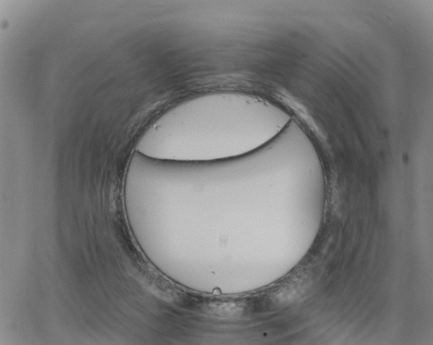 X0000063500161200601231446