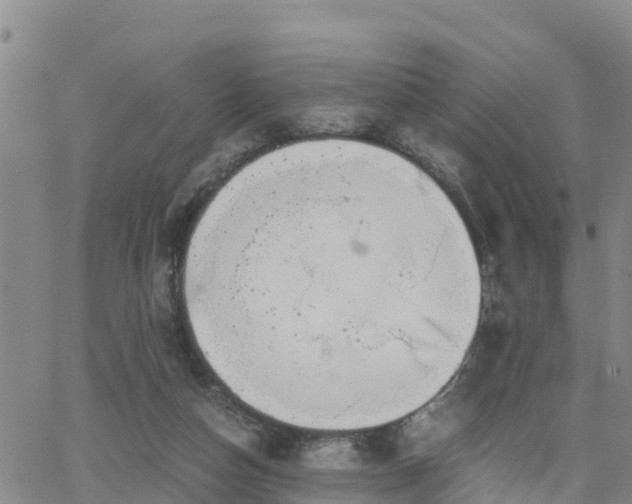 X0000063500162200601231446