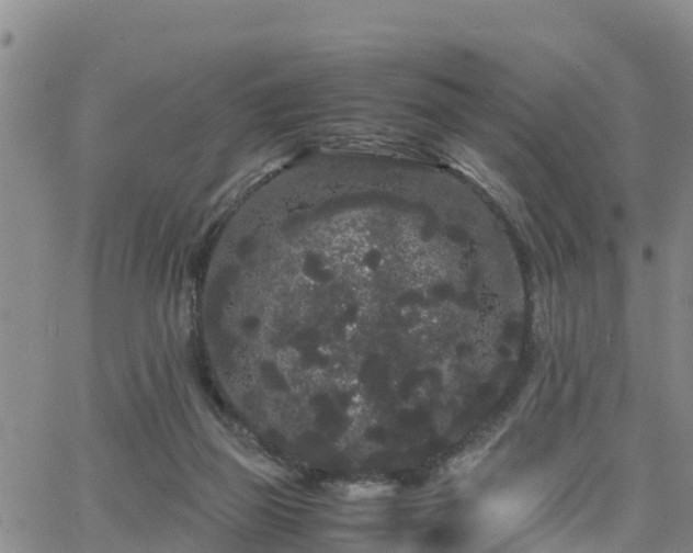 X0000063500165200601231446