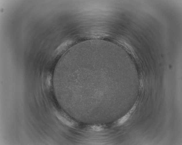 X0000063500166200601231446