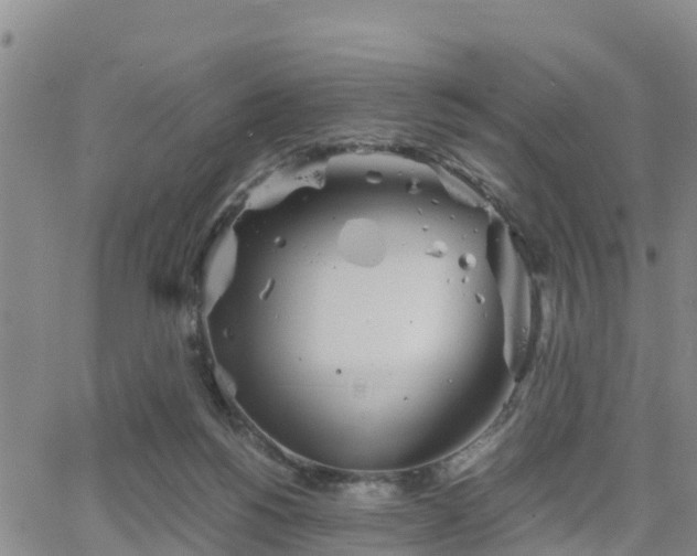 X0000063500168200601231446