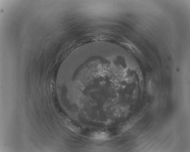 X0000063500169200601231446