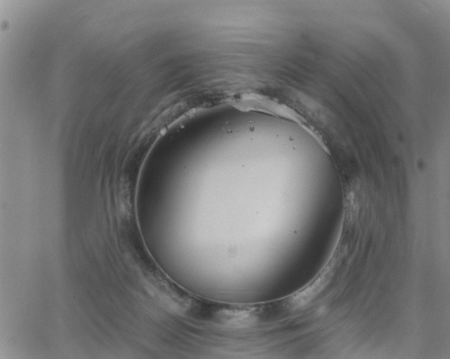 X0000063500170200601231446