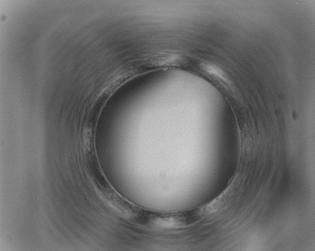 X0000063500171200601231446