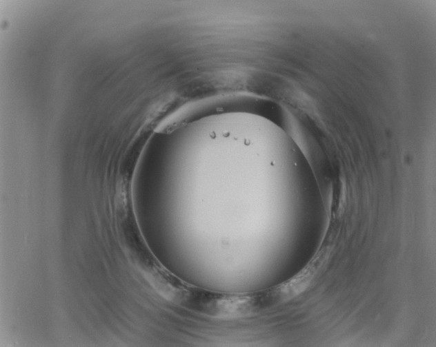 X0000063500172200601231446