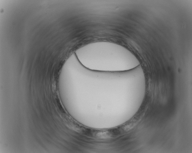 X0000063500173200601231446