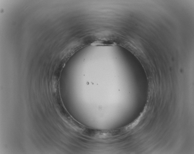 X0000063500174200601231446