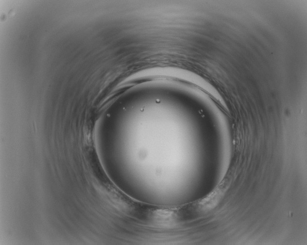 X0000063500176200601231446