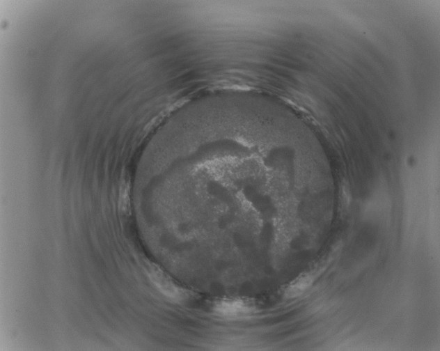 X0000063500177200601231446